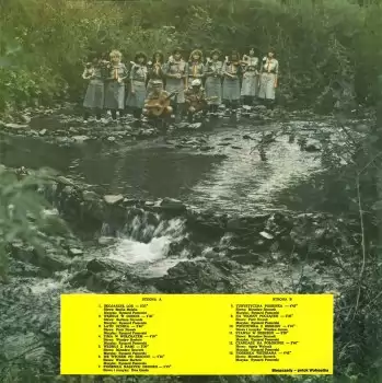 Wołosatki (1987)