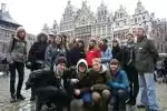W Antwerpii