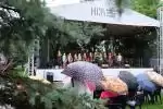 Koncert na Letniej Scenie NCK w Krakowie